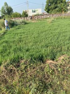 Others image of 1184.0 Sq.ft   Commercial Plot for rent in Roorkee Cantonment for 15000