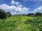 Others image of 86400.0 Sq.ft   Commercial Plot for sale in Fauzdaripatty for 48000000