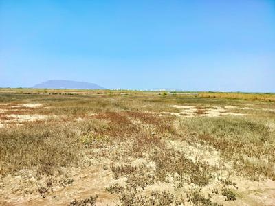 Others image of 1000.0 Sq.ft   Commercial Plot for sale in Belondakhar for 700000