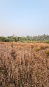 Others image of 15246.0 Sq.ft   Commercial Plot for sale in Revdanda for 7000000