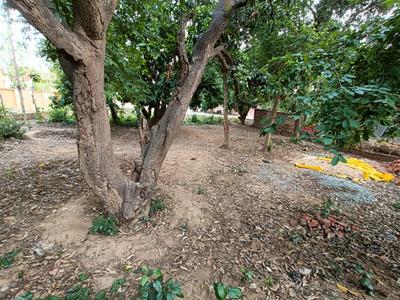 Commercial Plot