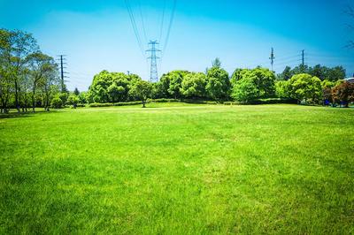 Others image of 5193.0 Sq.ft   Commercial Plot for sale in Shadnagar for 6952000