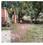 Others image of 40800.0 Sq.ft   Commercial Plot for sale in Hazratganj for 690000000