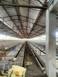 Others image of 4000.0 Sq.ft   Warehouse for rent in Amli Ind. Estate for 100000