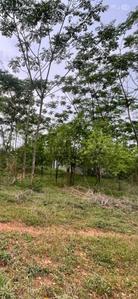Others image of 1350.0 Sq.ft   Commercial Property for sale in Atmakur for 900000