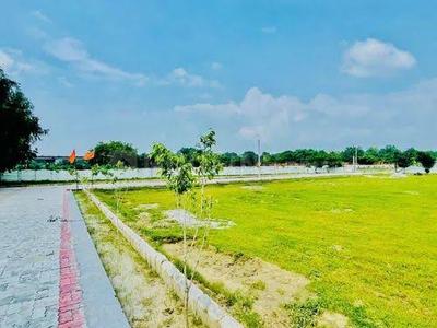 Commercial Plot