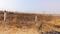 Others image of 1089.0 Sq.ft   Commercial Plot for sale in Belondakhar for 375000