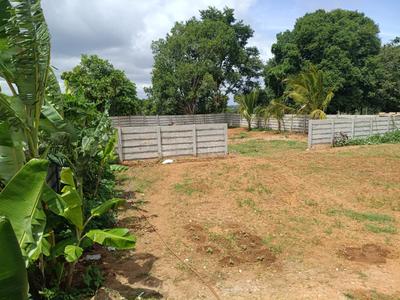 Commercial Plot