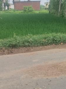 Others image of 3780.0 Sq.ft   Commercial Plot for rent in Ashiyana Colony for 50000