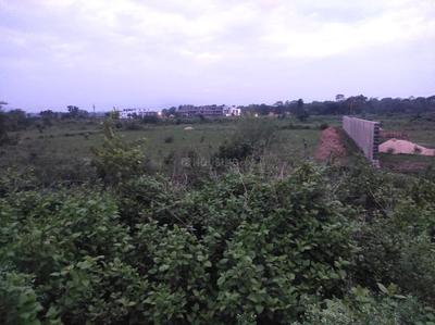 Commercial Plot