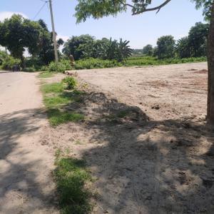 Commercial Plot