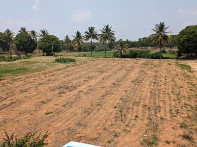 Others image of 45000.0 Sq.ft   Commercial Plot for rent in Dommasandra for 315000