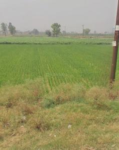 Commercial Plot
