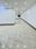 Others image of 1500.0 Sq.ft   Shop for rent in Stonehouse Pet for 30000