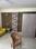 Others image of 350.0 Sq.ft  Ready to use Office Space for rent in Raj Nagar Extension for 20000