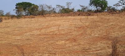 Others image of 87120.0 Sq.ft   Commercial Plot for sale in Rohidas Nagar for 5000000