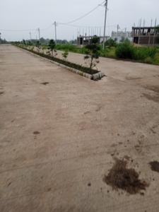 Commercial Plot