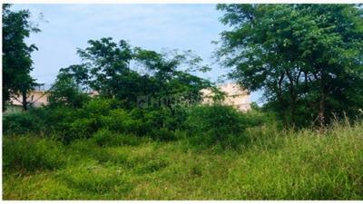 Others image of 43055.0 Sq.ft   Commercial Plot for sale in Tamaka for 60000000
