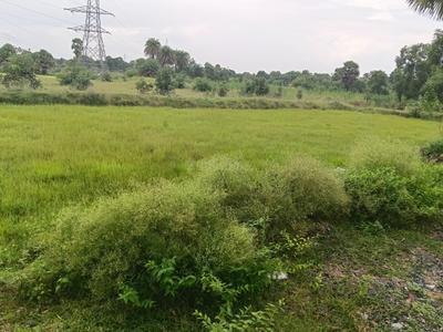 Commercial Plot
