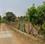 Others image of 10000.0 Sq.ft   Commercial Plot for rent in Nelamangala for 125000