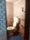 Others image of 200.0 Sq.ft   Shop for rent in Seawoods for 16000