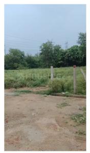 Commercial Plot
