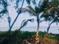 Others image of 52267.2 Sq.ft   Commercial Plot for sale in Aaryad for 45600000