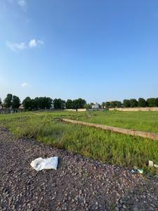 Commercial Plot