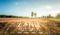 Others image of 1399.0 Sq.ft pre-leased  Commercial Plot for sale in Dargajogihalli for 1678800