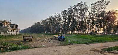 Outside View image of 25047.0 Sq.ft   Commercial Plot for rent in Naraingarh for 100000