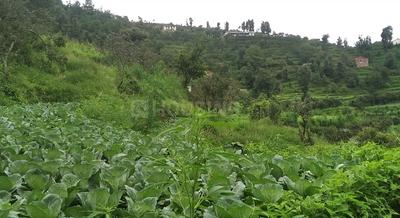 Others image of 45000.0 Sq.ft   Commercial Plot for sale in Mukteshwar for 300000