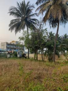 Commercial Plot