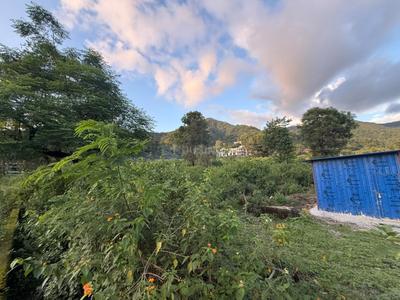Commercial Plot