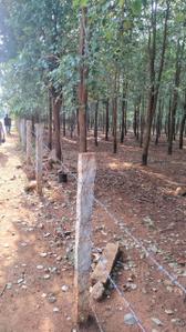 Others image of 10800.0 Sq.ft   Commercial Plot for sale in Tiruchanur for 1000000