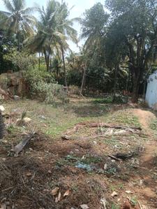 Commercial Plot