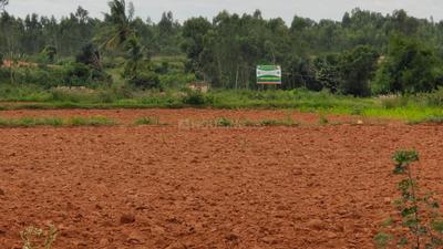 Others image of 3000.0 Sq.ft   Commercial Plot for sale in Alurdoddanahalli for 3900000