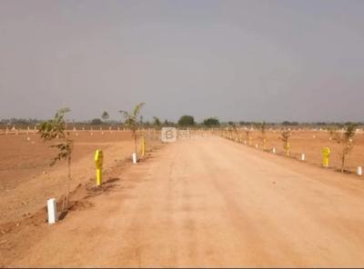 Commercial Plot