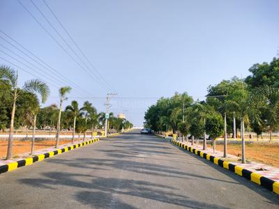 Commercial Plot