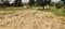 Others image of 22500.0 Sq.ft   Commercial Plot for rent in Sector 89 for 80000