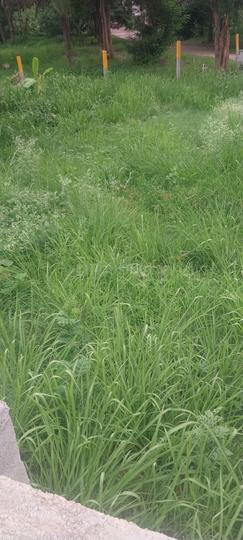 Others image of 3890.0 Sq.ft   Commercial Plot for sale in Chikkabellandur for 70074000