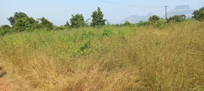 Others image of 5445.0 Sq.ft   Commercial Plot for sale in Panvel for 2700000