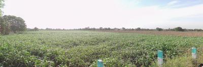 Commercial Plot