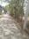Others image of 150000.0 Sq.ft   Commercial Plot for rent in Teliyaganj for 100000