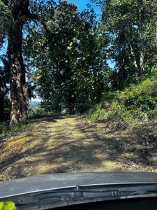 Others image of 136125.0 Sq.ft   Commercial Plot for sale in Bail Parao for 35000000
