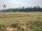 Others image of 1197.0 Sq.ft   Commercial Plot for sale in Bhogapuram for 133000