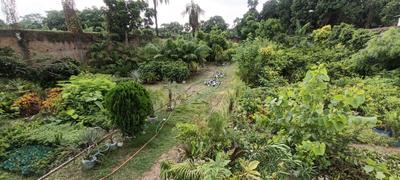 Others image of 22000.0 Sq.ft Commercial Plot for rent in Hajipur for 205000