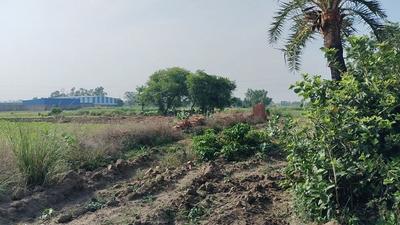 Others image of 75680.0 Sq.ft   Commercial Plot for sale in Chanakya Nagar for 81700000