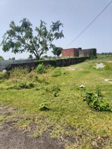 Commercial Plot