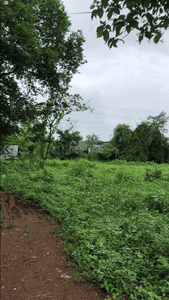 Others image of 16335.0 Sq.ft   Commercial Plot for rent in Titwala for 180000