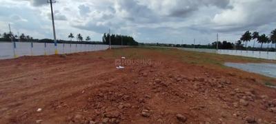 Commercial Plot
